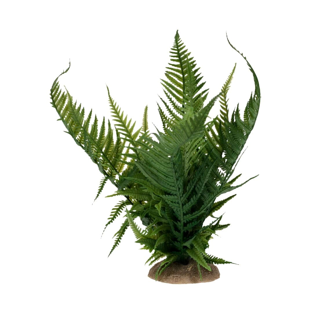 Terra Della Varen M groen